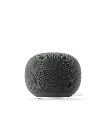 Google Home Speaker