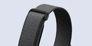 Fitbit Air